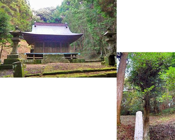 （7） 　諏訪神社 
