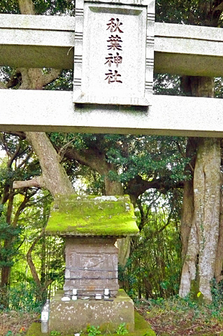 （13） 秋葉神社 