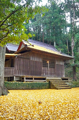 （11） 木幡神社