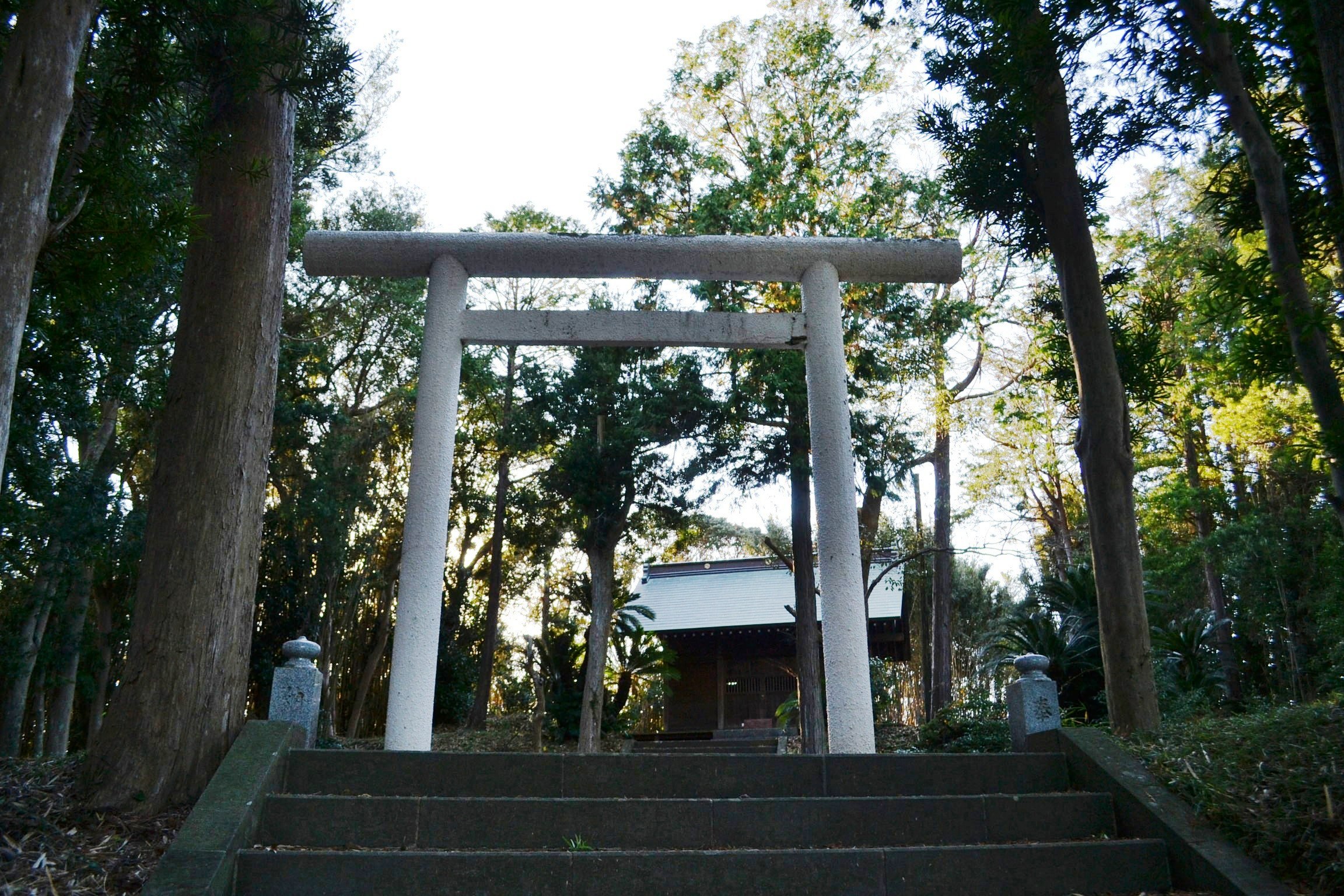 （14）布沼厳島神社