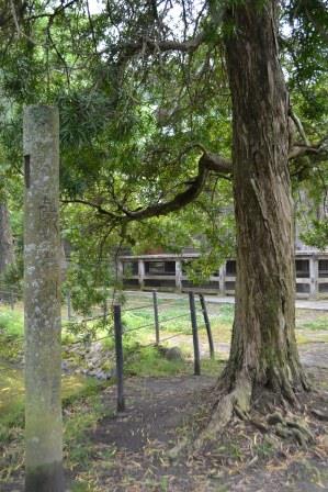 （3）館山神社（館山）の槙の植樹記念碑