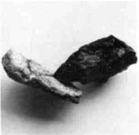 黒曜石の剥片のささったイルカの骨
那古稲原貝塚